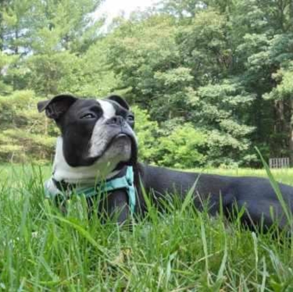 Meet your Posher, Tiff - Picture 9 of 16